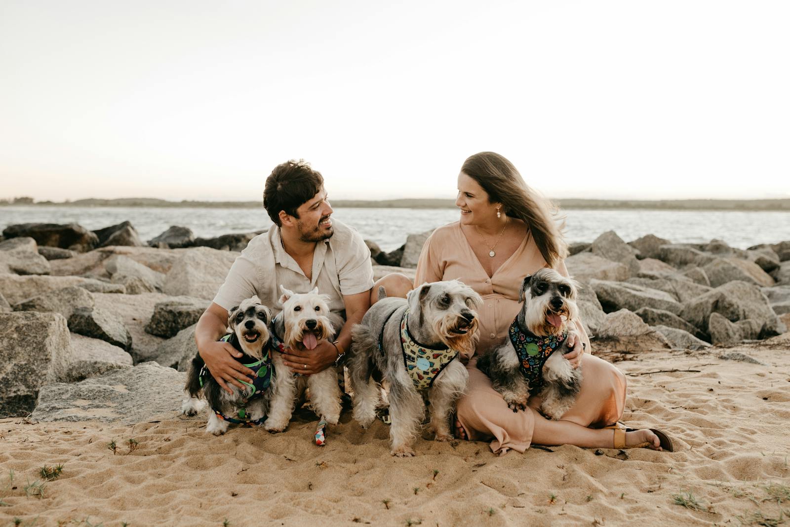 Best Dog Breed for Rat Control - The Ultimate Guide for Natural Pest Management 1 Why Terriers are the Best Dog Breed For Rat Control